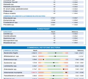 GI-map suolistotesti